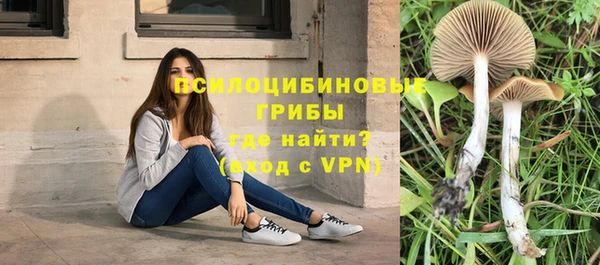 соль курить ск Заволжье