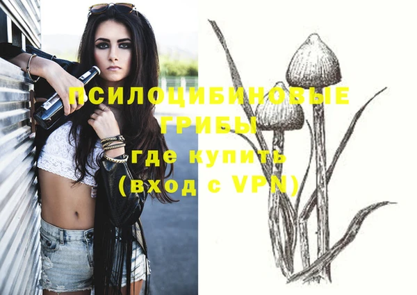 spice Заволжск