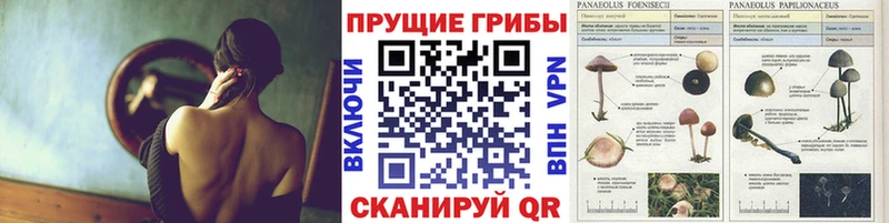 Псилоцибиновые грибы мухоморы  Купить  Екатеринбург 